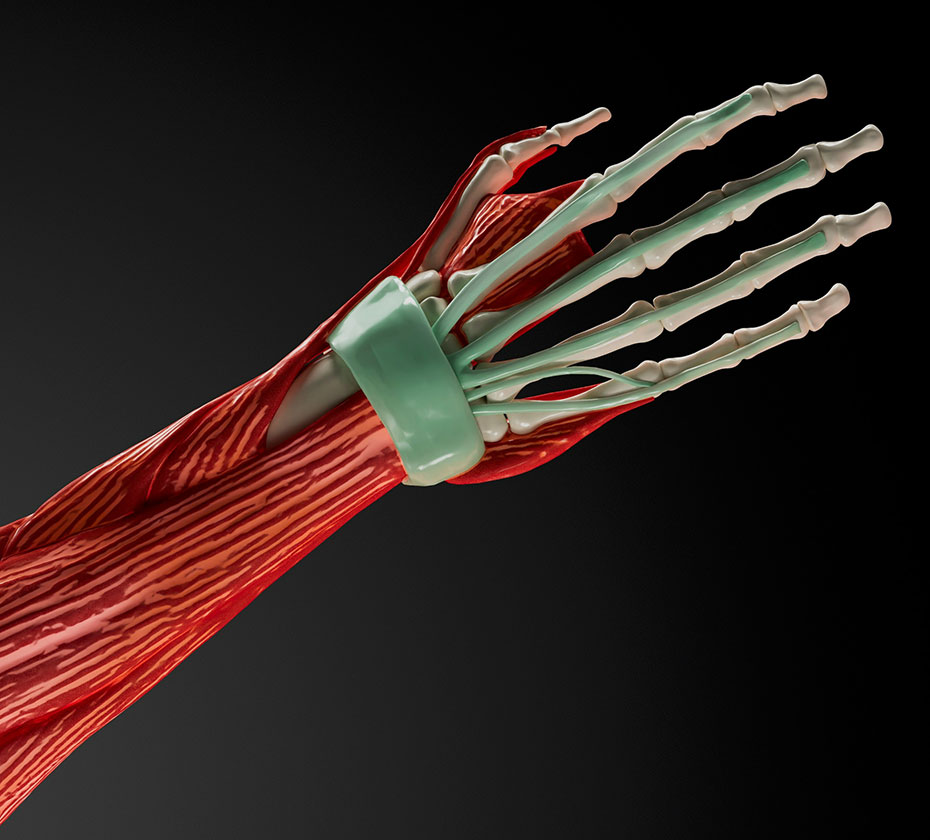 LeedsLimbCentre-Specialisms-NerveSurgery