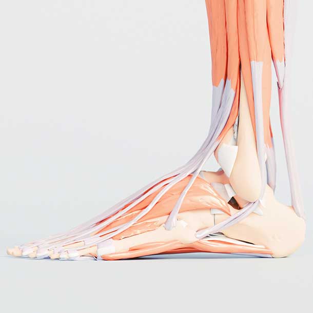LeedsLimbCentre-Treatment-NerveSurgery-NerveDecompressionSurgery